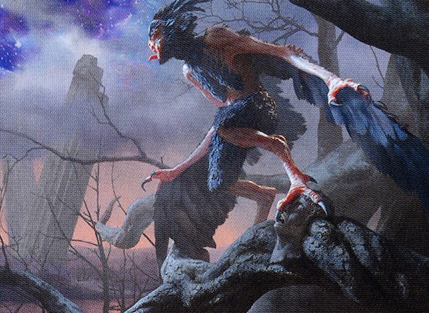 Scavenging Harpy