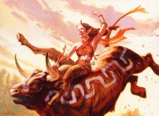 Stampede Rider
