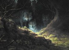 Wolfwillow Haven