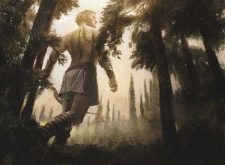 Arbor Colossus