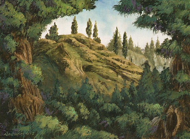 Forest