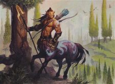 Nessian Courser