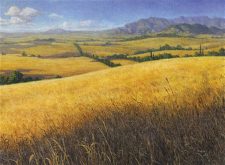 Plains