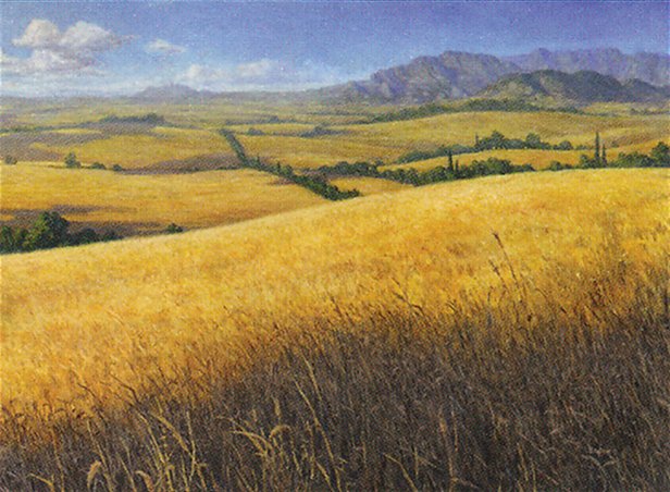 Plains