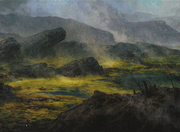 Swamp