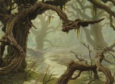 Swamp