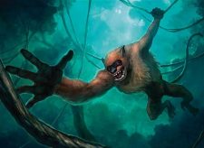 Hog-Monkey
