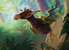 Ostrich-Horse