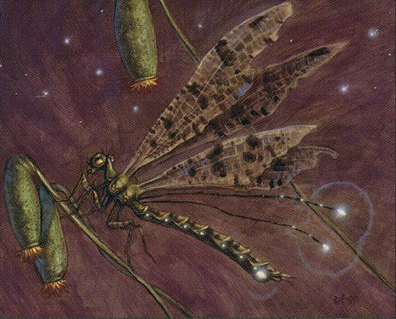 Bayou Dragonfly