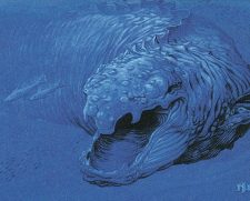 Benthic Behemoth