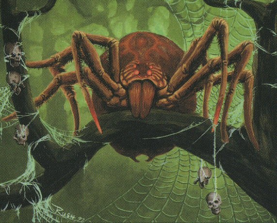 Canopy Spider