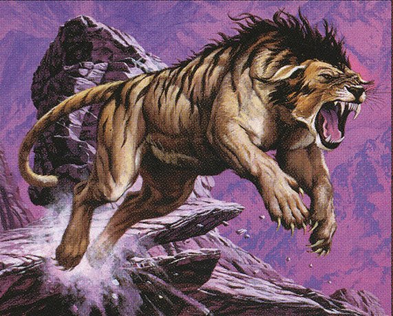 Canyon Wildcat