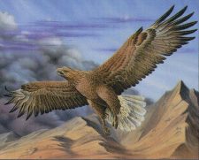 Cloudchaser Eagle