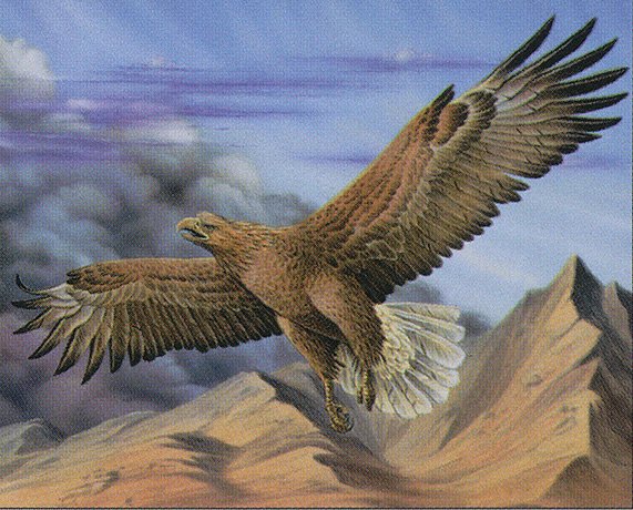 Cloudchaser Eagle
