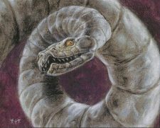 Coiled Tinviper