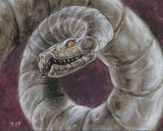 Coiled Tinviper