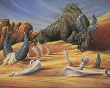 Extinction