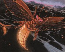 Firefly