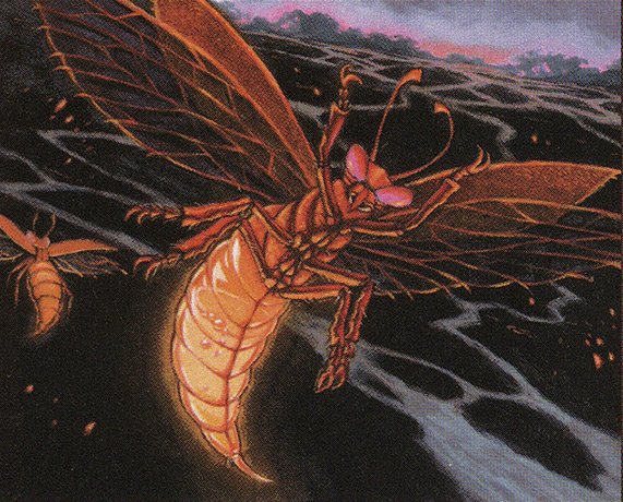 Firefly