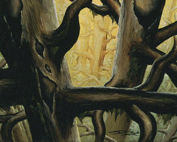 Forest