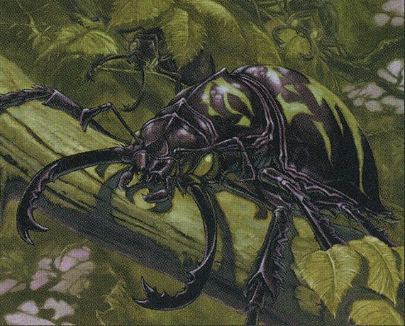 Pincher Beetles