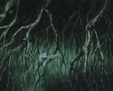 Rootwater Depths