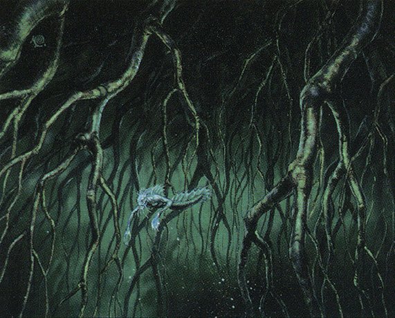 Rootwater Depths
