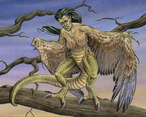 Screeching Harpy