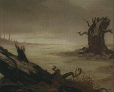 Swamp