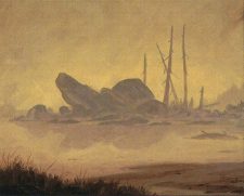Swamp