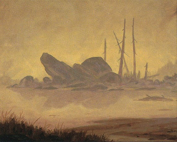 Swamp