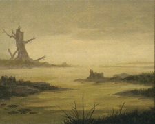 Swamp