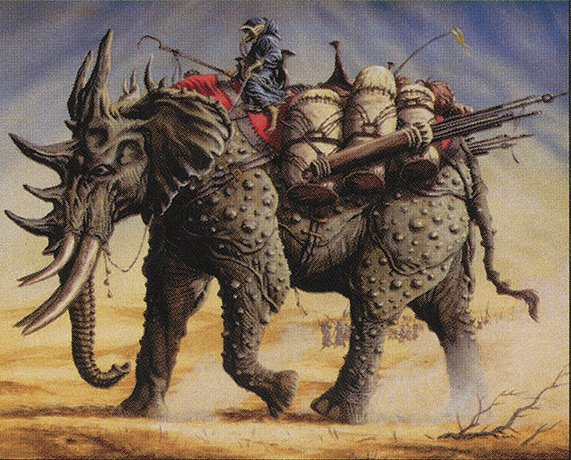 Trained Armodon