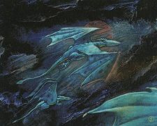 Wind Drake
