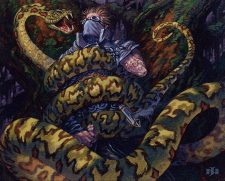 Krosan Constrictor