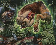 Parallel Evolution
