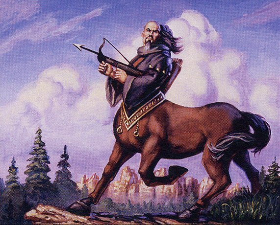 Seton’s Scout