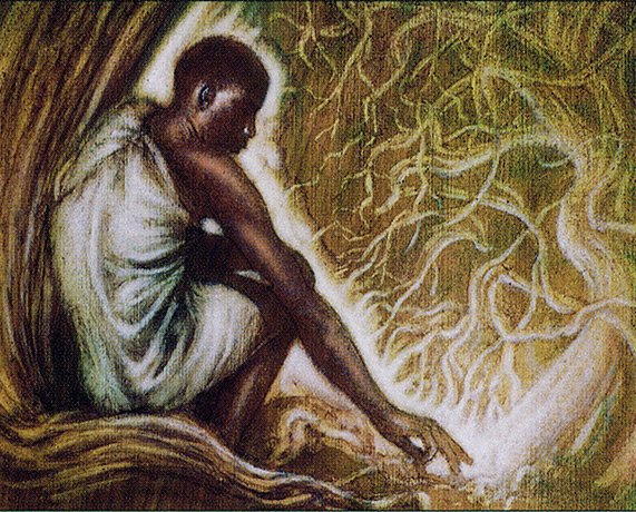 Wall of Roots