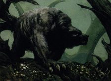 Ashcoat Bear