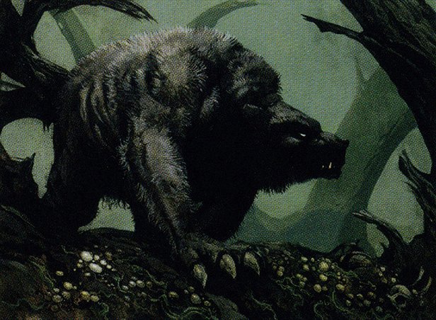 Ashcoat Bear