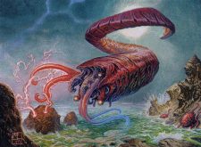 Draining Whelk