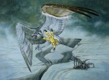 Duskrider Peregrine
