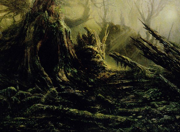 Forest