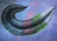 Paradise Plume