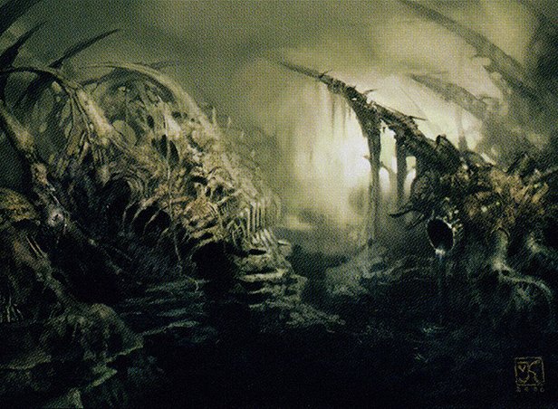 Swamp