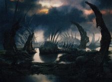Swamp