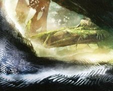 Blighted Woodland