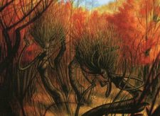 Dryad Arbor