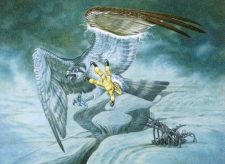 Duskrider Peregrine