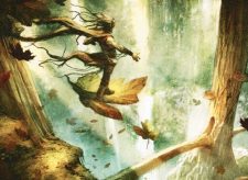 Edge of Autumn